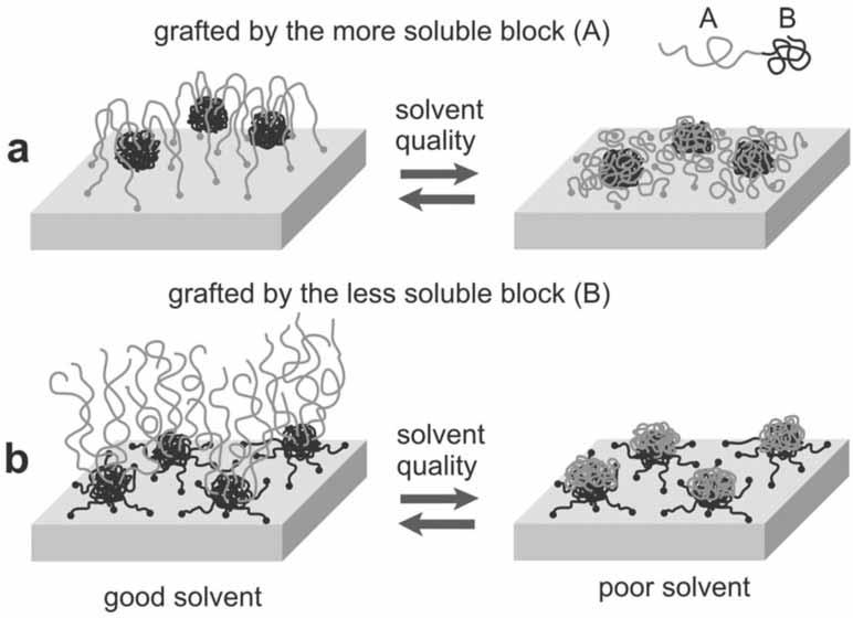 Responsive Polymer Brushes 405 by phase segregation of unlike polymers, however, the mechanism depends on whether the AB block copolymer is tethered by the more (A) or the less (B) soluble block.