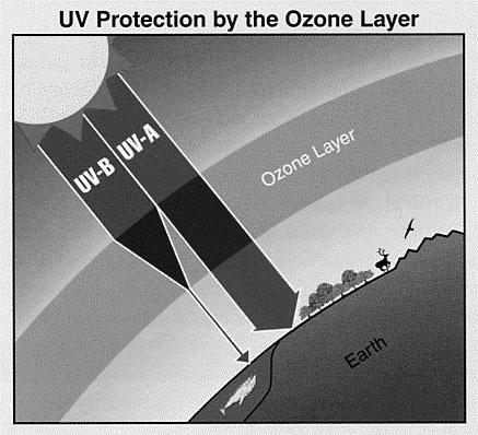 Standard Atmosphere (from Understanding Weather & Climate) Why is Ozone Important?