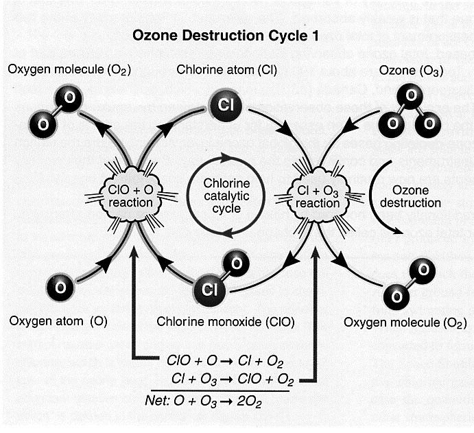 Radiation and Ozone Ozone Production UV photons are required for ozone production: O2 + UV photon O + O Below about 20 km, UV photons are absorbed by ozone.