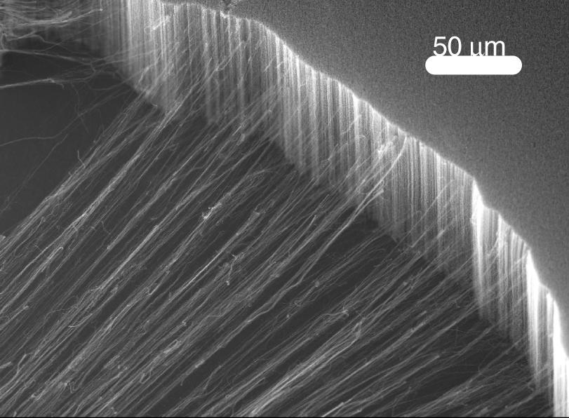 Original Paper phys. stat. sol. (b) 243, No. 13 (2006) 3529 a) b) Fig. 1 a) SEM of the CNT sheet being dry drawn from a CNT forest into a self-assembled sheet.