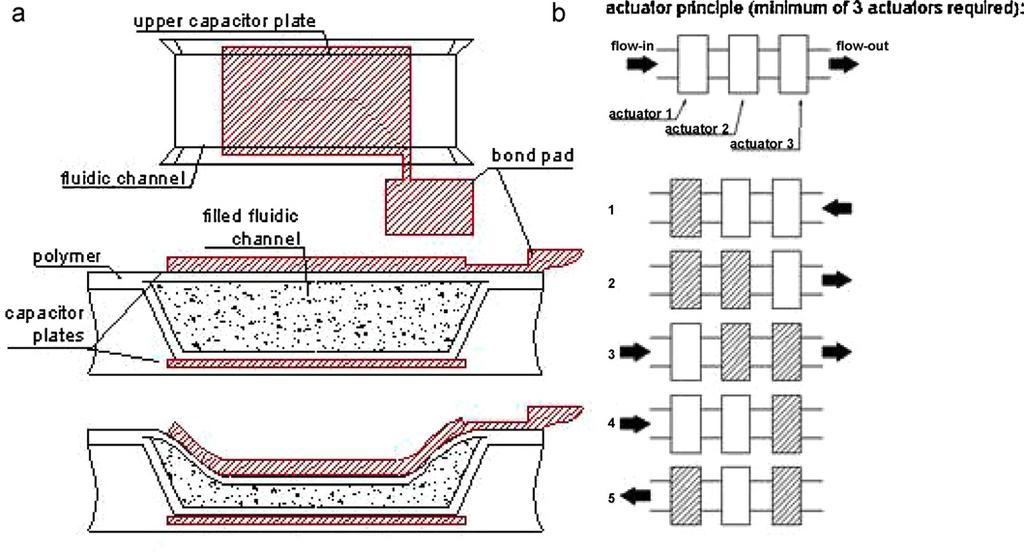 Peristaltic Pumping Action Patrascu, M., et al.