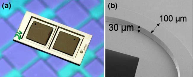 Micropump Chip Photograph of the two membrane silicon micropump chip (a) and REM-picture of the valve lip (b). Geipel, A., et al.