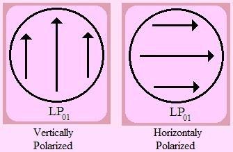 pattern but only has a change in the orientation of the polarization. Therefore there are two possible orientations of polarization as shown in the figure 7.6 below. Figure 7.
