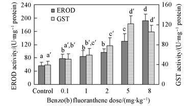 Effects of PAHs on Biotransformation Enzymatic Activities in Fish LU Guang-hua, CHEN Wei *, LI Ying and ZHU Zhi Chem. Res.