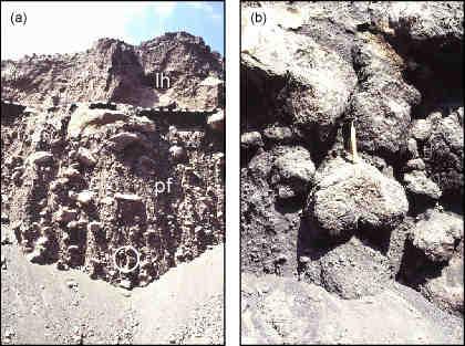 the basis of their characteristic lithologies.