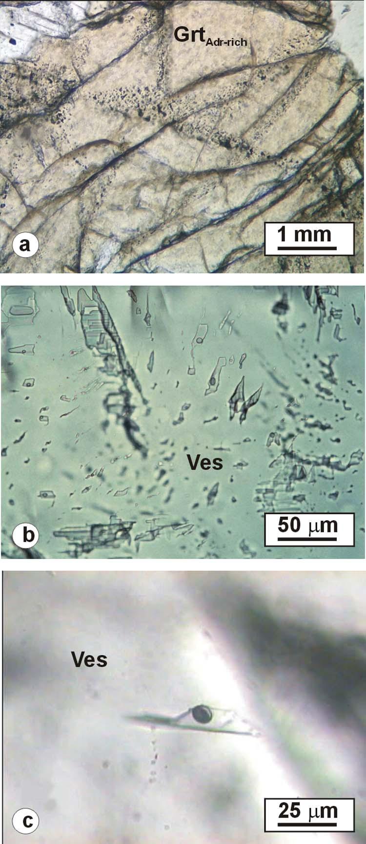 14 S. Ferrando et al. Figure 7. Photomicrographs of fluid inclusions within rodingitic veins. (a) Intragranular trails of two-phase fluid inclusions within andraditic garnet from Type III vein.