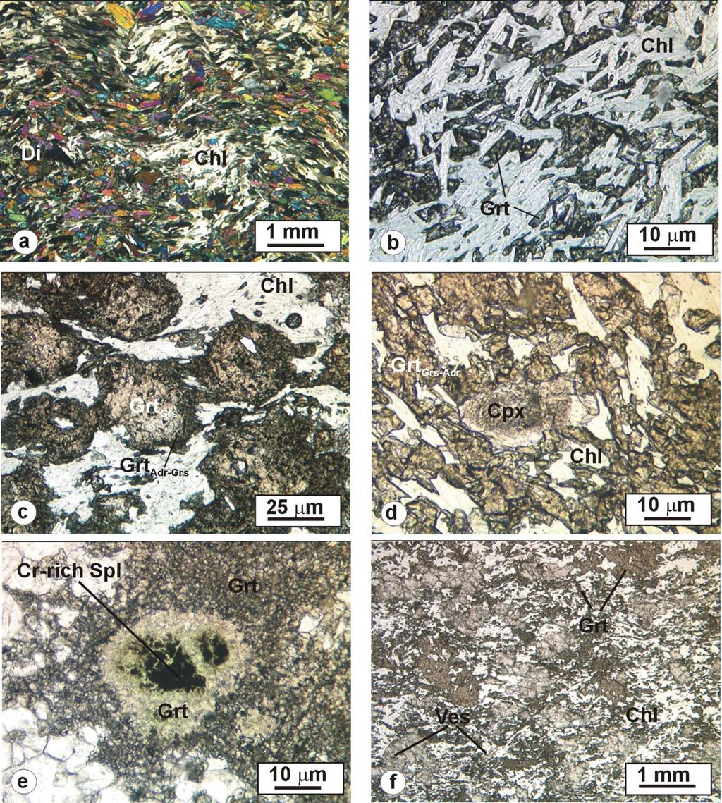 International Geology Review 7 Figure 3. Photomicrographs of the Bellecombe rodingites. (a) Fine-grained rodingite showing a crenulated S r foliation defined by diopside and chlorite.