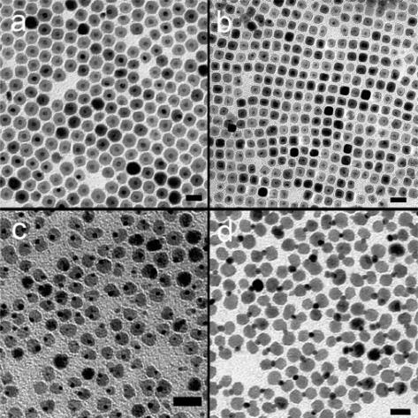 Figure 2. HRTEM images and electron diffraction patterns from spherical (a and b), cubic (c and d), peanutlike (e), and dumbbelllike (f) hybrid nanoparticles. The scale bars are 4 nm. Figure 1.