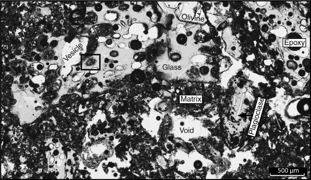 Nikitczuk et al. Figure 2. Typical blocky, vesicular, basaltic glass pyroclast (lapilli-sized) with olivine and plagioclase phenocrysts, surrounded by darker, finer-grained matrix with empty voids.