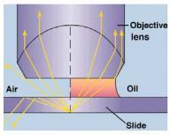 Figure 6: (left) Effect of oil immersed objective on image and (right) pinhole effect on contrast.