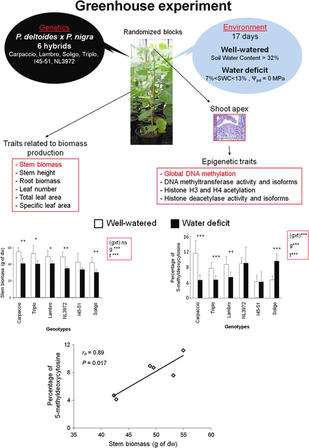 Epigenetics and Forest Tree Adaptation K. Br autigam et al. (a) (b) (c) Figure 2.