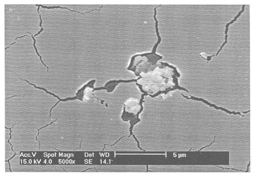 Fig. 2: SEM micrograph of a modified Pd film. Fig. 3: New element number as a function of the Pd film thickness loaded with palladium. A) sample loaded with 2.4 bar; B) sample loaded with 2.