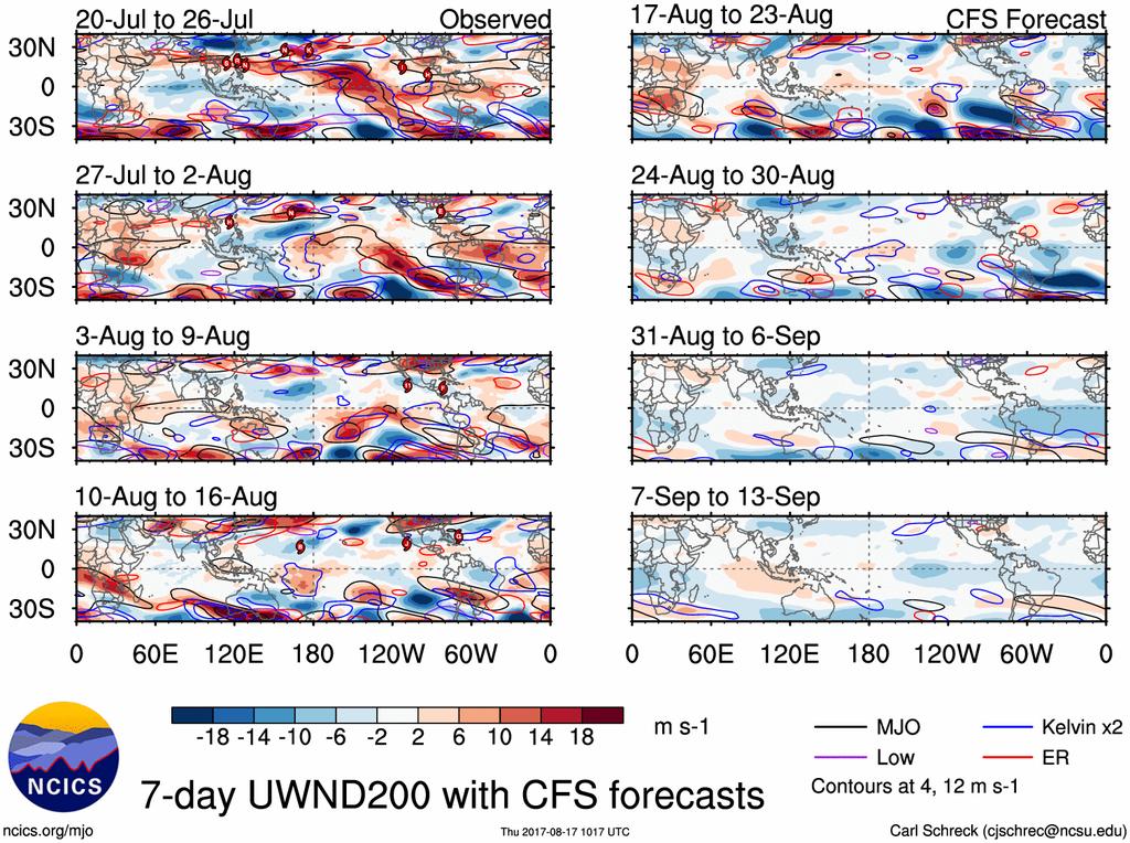 Figure 5: Observed 200-mb zonal winds since July 20 and predicted 200-mb zonal winds from the Climate Forecast System through September 13. Figure courtesy of Carl Schreck.