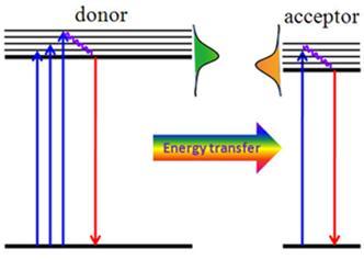 FRET: Förster Resonance Energy Transfer The relationship between the energy transfer efficiency and the distance (R) between the energy donor and