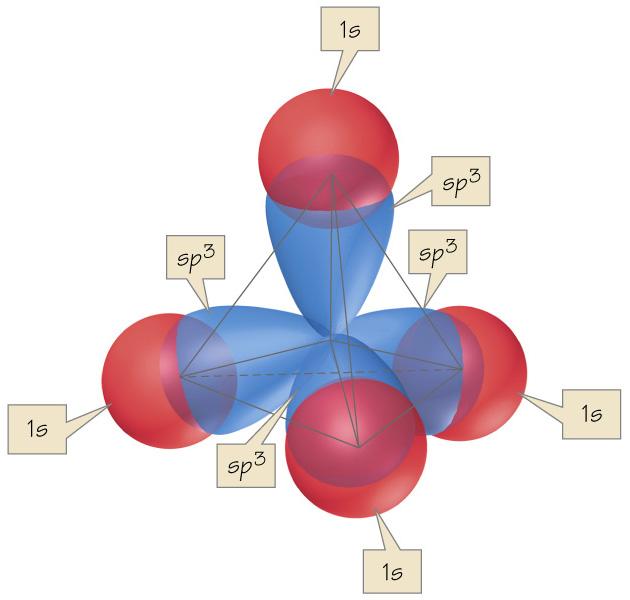 Shapes of Molecules and Hybridization 12 Before bonding to H atoms, the one 2s and three 2p atomic orbitals are mixed and rearranged to give a new set of four equivalent (same energy) hybrid atomic