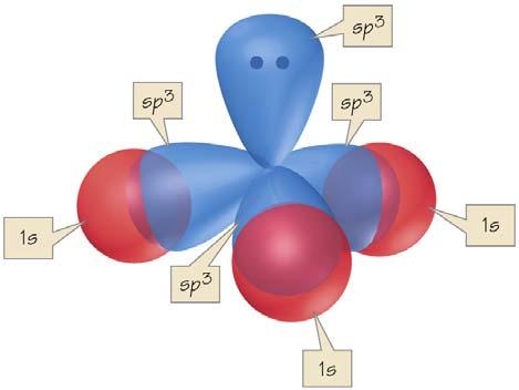 Shapes of Molecules and Hybridization 13 Note: hybrid orbitals can also contain NB pairs, for example, in ammonia and water. These also have tetrahedral electronic arrangements and are sp 3.