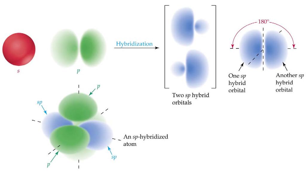 Shapes of Molecules and Hybridization 14 1. sp hybridization The combination of one s and one p results in the formation of two sp orbitals. These two hybrid orbitals are 180 apart.