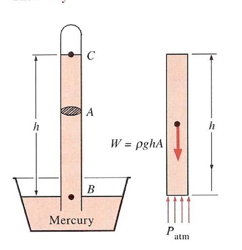 Solution The gravitational acceleration is not specified, so we assume the standard value of 9.81 m/s 2.