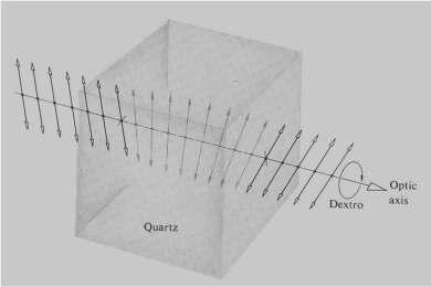 Optical Activity Unlike birefringence, optical activity maintains a linear