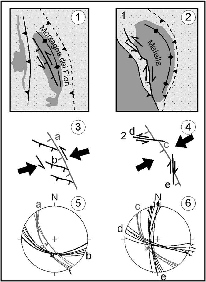 V. Scisciani / Journal of Structural Geology xxx (2009) 1 19 13 Fig. 11. Reactivation of the pre-thrusting W-dipping normal fault in the Montagna dei Fiori (1) and Maiella (2) areas (see Fig.