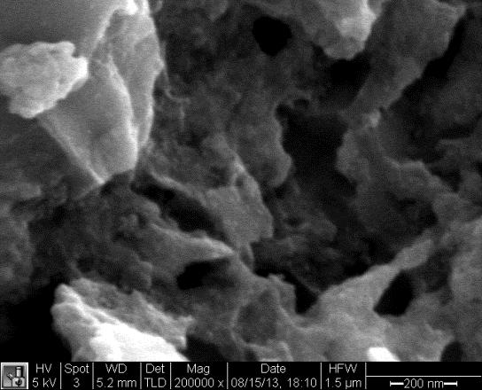 Kerogen Clay 200 nm 200 nm 200