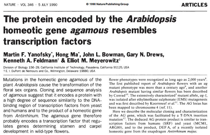 genes identified Regulates the differentiation of