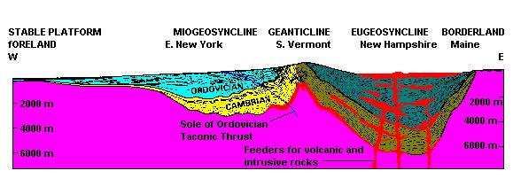 *What formerly called geosynclines are now known to be mountains that formed in active continental margins *The term