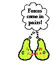 The statement means that in every interaction, there is a pair of forces acting on the two interacting objects.