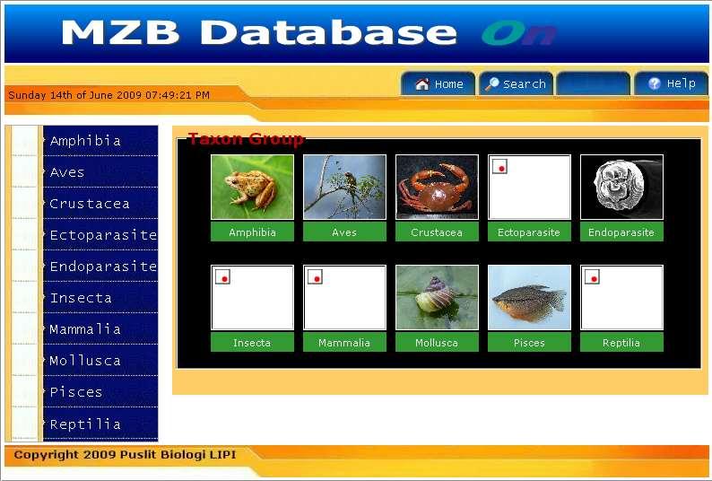 Home Page Database