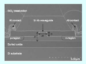 Active Si nanophotonics Light Sources & Waveguide Optical