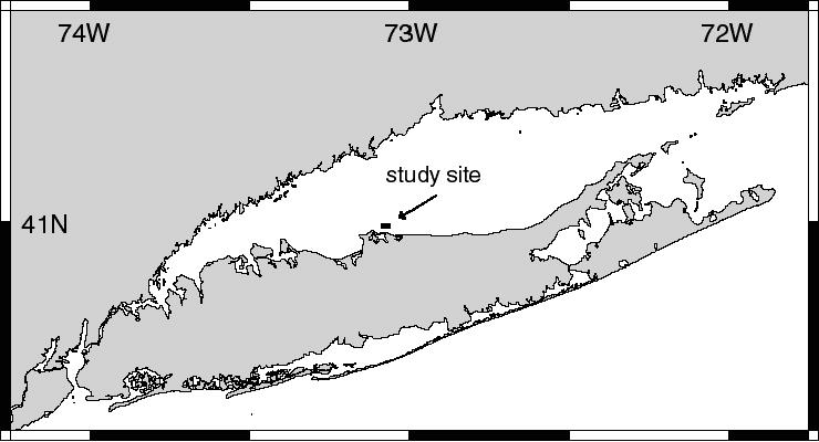 Changes in Geomorphology and Backscatter Patterns in Mount Misery Shoal, Long Island Sound as Revealed through Multiple Multibeam Surveys Laurie A. Zaleski Laurie.Zaleski@msrc.sunysb.edu, Roger D.