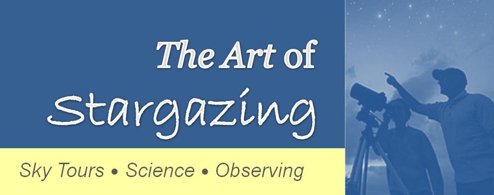 Notes: The Art of Stargazing Month 1: February - March 2013