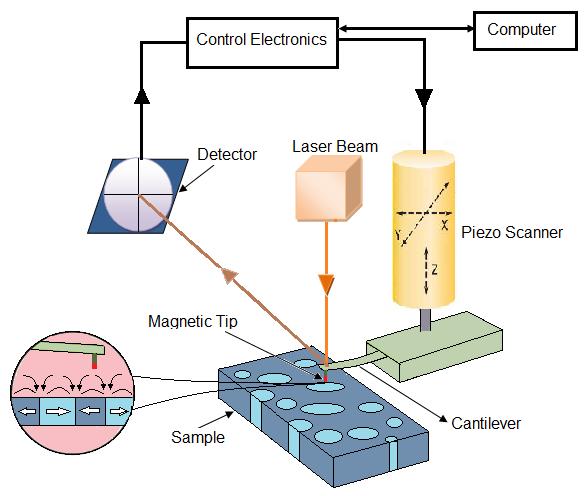 Figure 40.2: Schematic of Magnetic Force Microscopy 40.