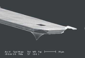 SNOM using cantilever-based metal-coated tips SEM image of a