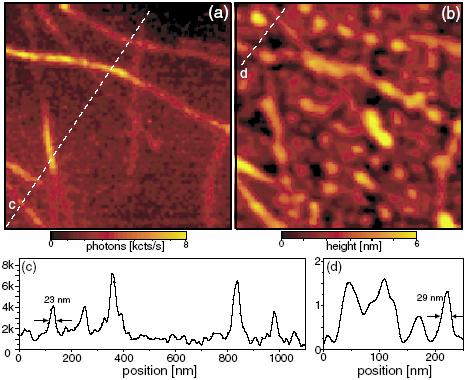Near-Field Raman Microscopy of Single-Walled Carbon Nanotu Raman scattering probes the unique vibrational spectrum of the sample and directly reflects its chemical