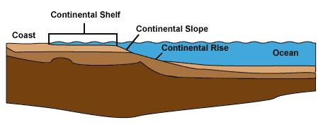 subsidence occurred so that they are like seamounts but with flattened tops that lie more than 200 meters below the surface.