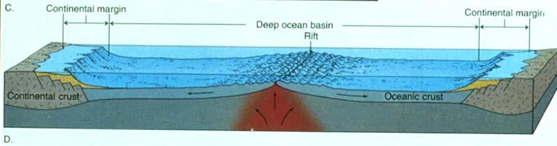 Continental Shelf and Slope he continental shelf (extending from the shoreline to the shelf break) is part of the continental crust and water depths over the shelf are a function of sea level and