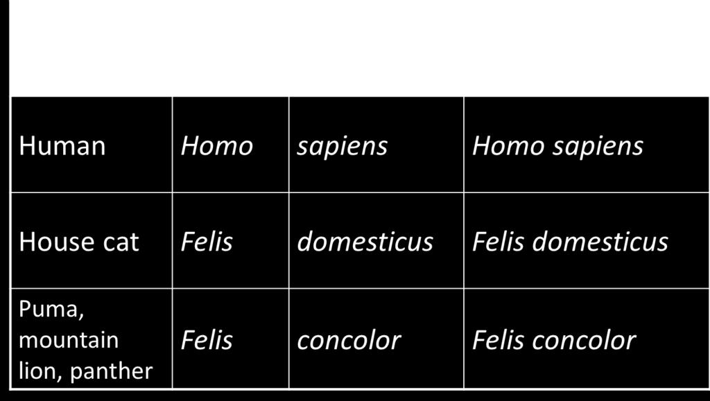 Scientific Names Binomial nomenclature two part naming system; scientific name