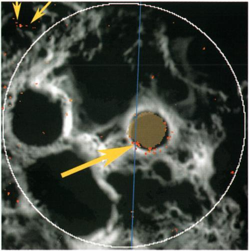 , 1999a, 1999b]. 2.2. Lunar Prospector Neutron Spectrometer Data Set Lunar Prospector neutron spectrometer data sets were obtained at low altitude (30 km) during the extended mission [Feldman et al.