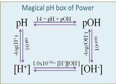 Find [H 3 O + ] and [OH ] Magical Box of ph Power [H 3 O + ] = 10 ph [OH ] = 10 poh Practice: If the ph of a solution is 4.92, what is the [H 3O + ]? 1.2 x 10 5 M If the poh of a solution is 9.