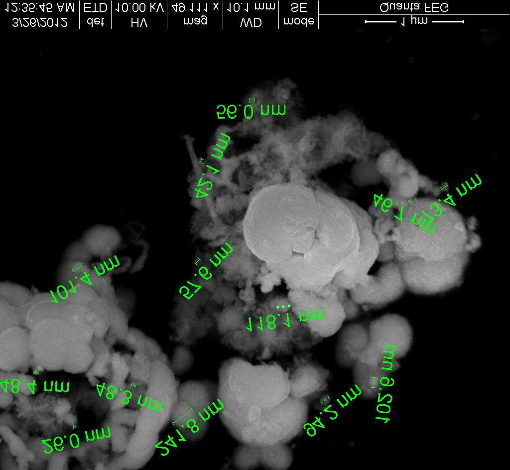100 nm. The morphology of the prepared Zn-doped CuO is very interesting and looks like pollen grain.