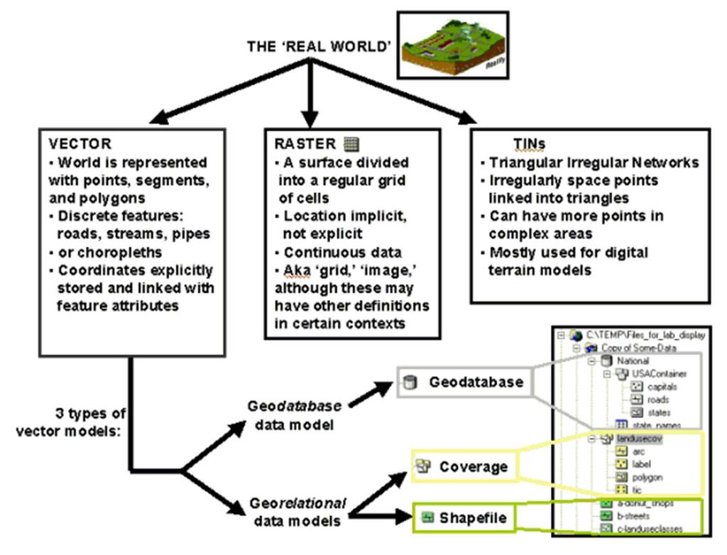 GIS Data Model Level Conceptual Model (object view or field view) GIS Data Model Vector or Raster GIS