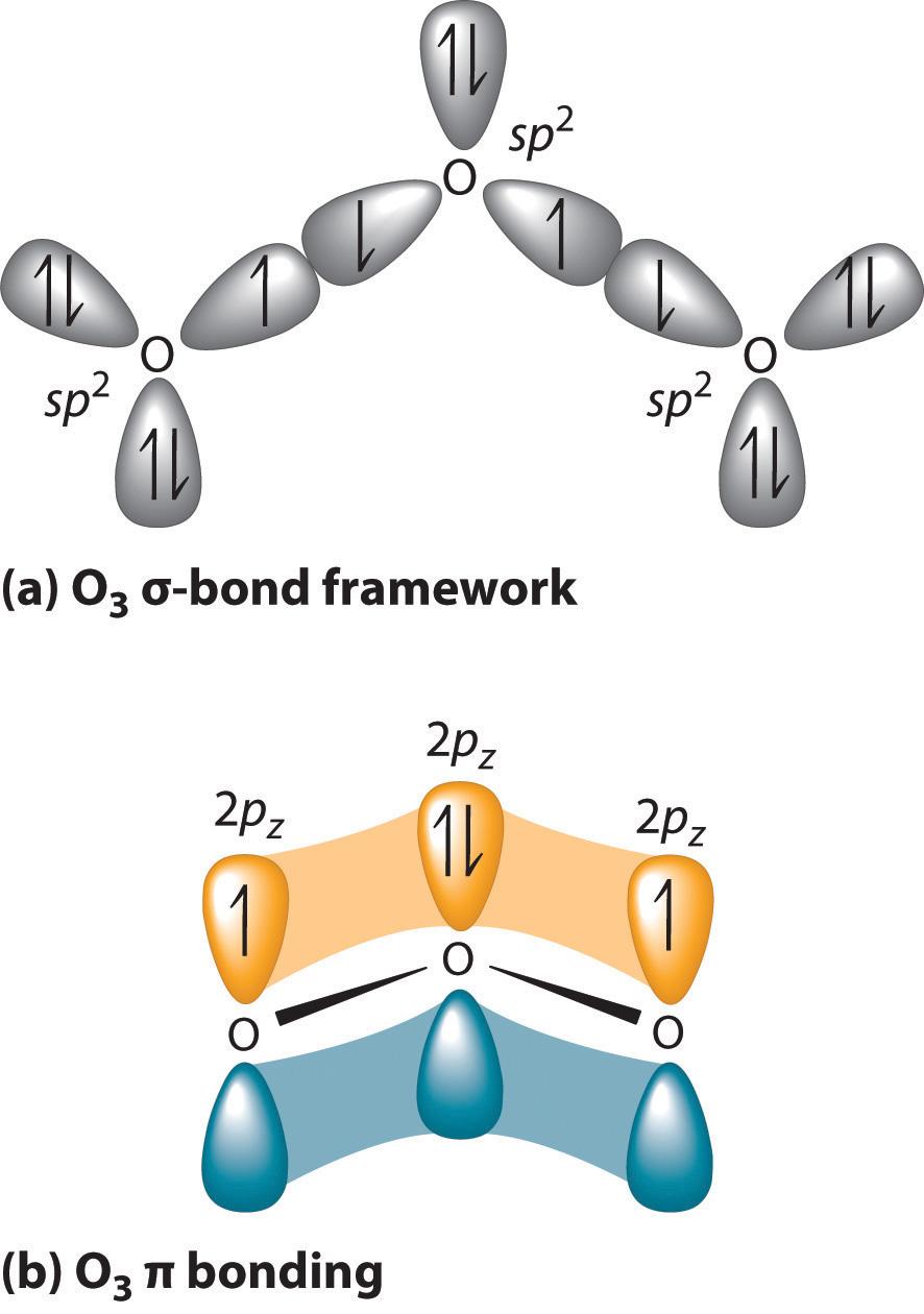 Experimental evidence indicates that ozone has a bond angle of 117.5. Because this angle is close to 120, it is likely that the central oxygen atom in ozone is trigonal planar and sp 2 hybridized.