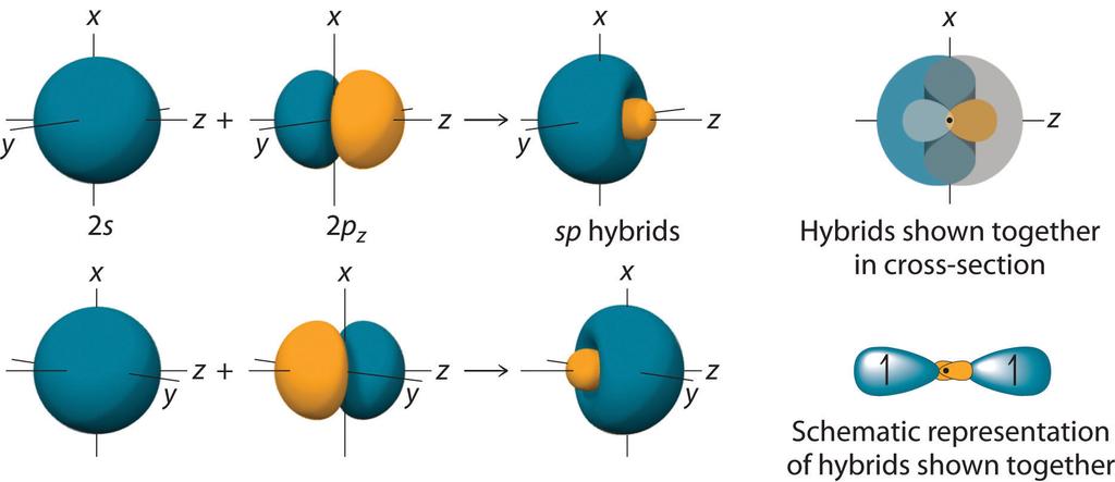 Taking the mathematical sum and difference of an ns and an np atomic orbital where n = 2 gives two equivalent sp hybrid orbitals oriented at 180 to each other.