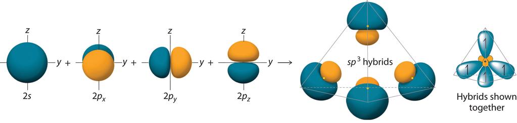 the hybridized orbitals discussed earlier, the sp 3 hybrid atomic orbitals 10 are predicted to be equal in energy. Figure 9.