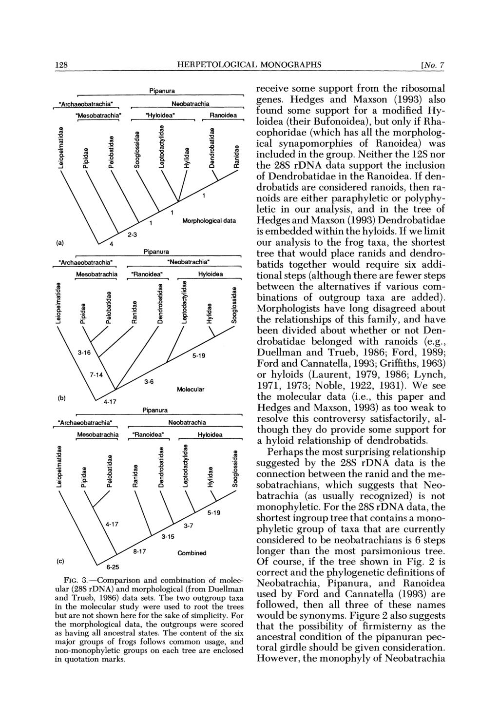 128 HERPETOLOGICAL MONOGRAPHS [No. 7 "Archaeobatrachia" Pipanura Neobatrachia "Mesobatrachia" "Hyloidea" oidea I,.