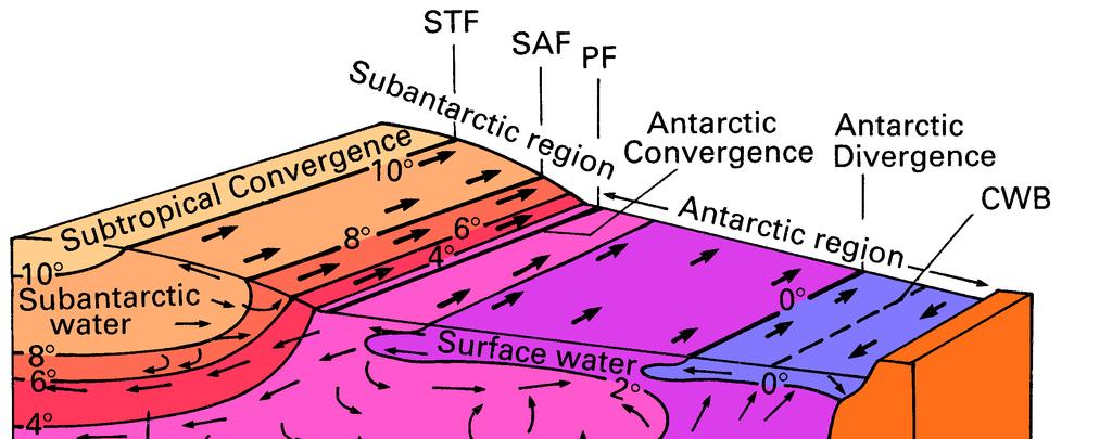Antarctic oceanography 81 Although much of the above discussion and all of the figures are based on modern data, the best way of summarizing the hydrography of the Southern Ocean is to reproduce a
