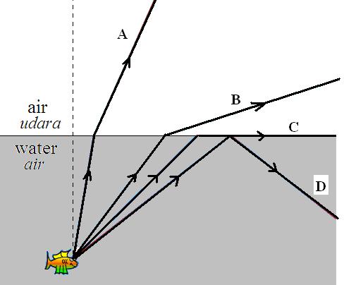 2. Based on diagram 6 which of the light ray below can produce a critical angle?