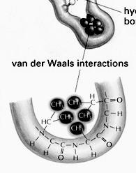 Non-covalent bonds or interactions.