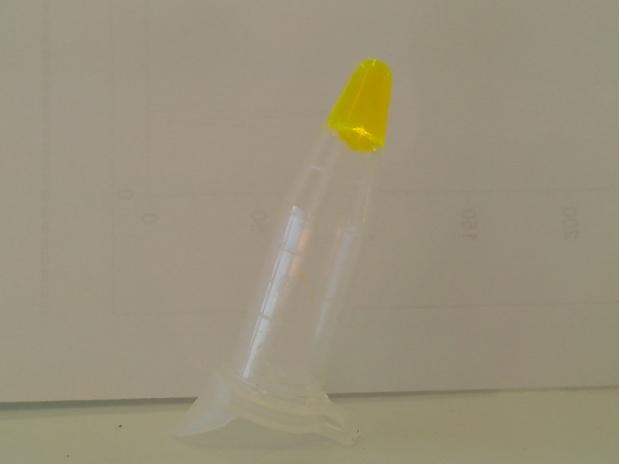 Figure S3. Pictures of the self-assembled hydrogel of MBG-1 encapsulated with 0.1% w/v fluorescein sodium.